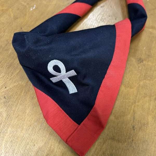 Wadi El Nil Official Alexandria Neckerchief Foulard - Image 3