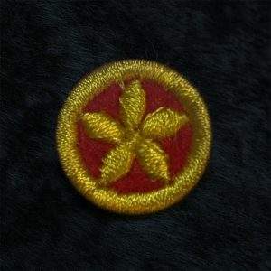 Rovers SGWEN Star Merit Badge