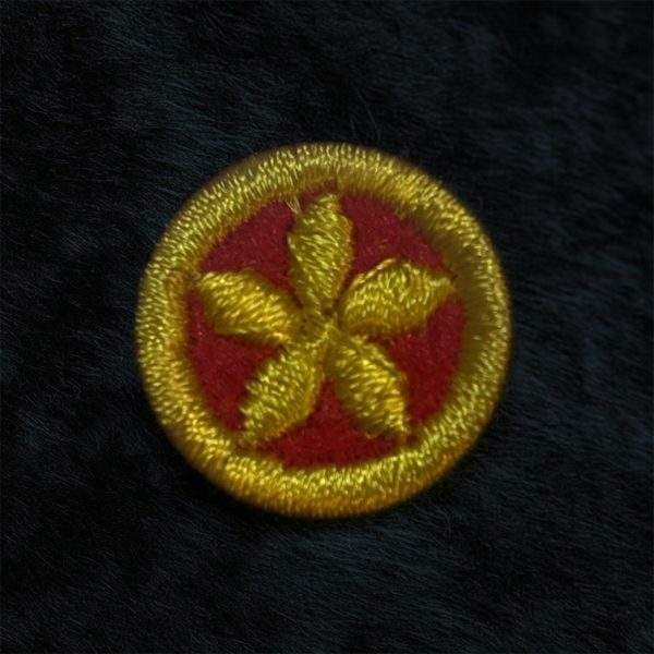 Rovers SGWEN Star Merit Badge