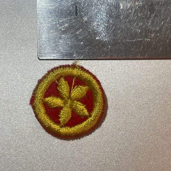 Rovers SGWEN Star Merit Badge - Image 2