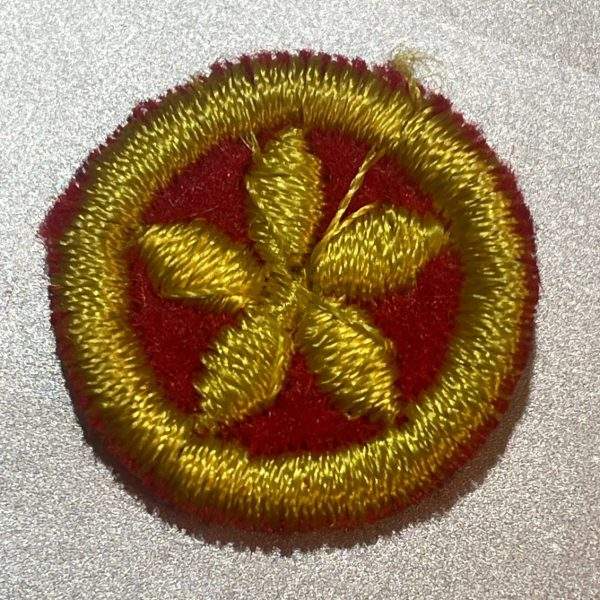 Rovers SGWEN Star Merit Badge - Image 3